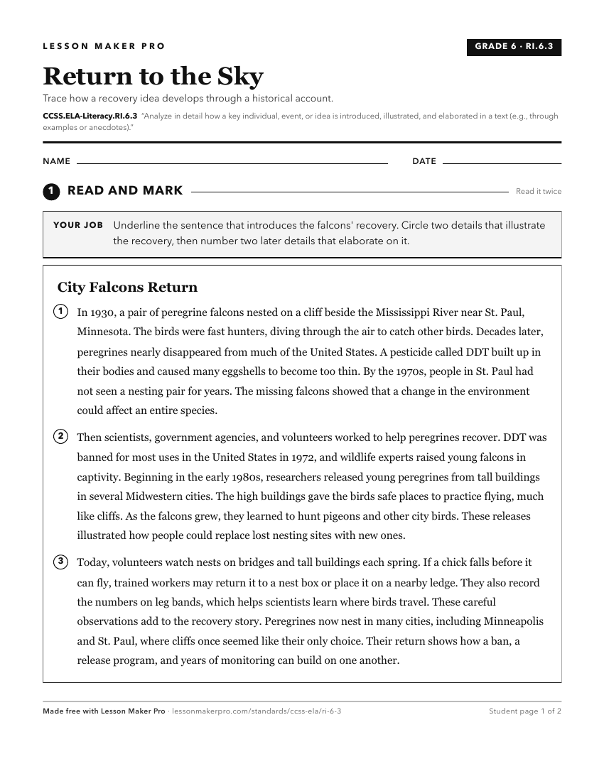 Preview of the CCSS.ELA-Literacy.RI.6.3 printable worksheet