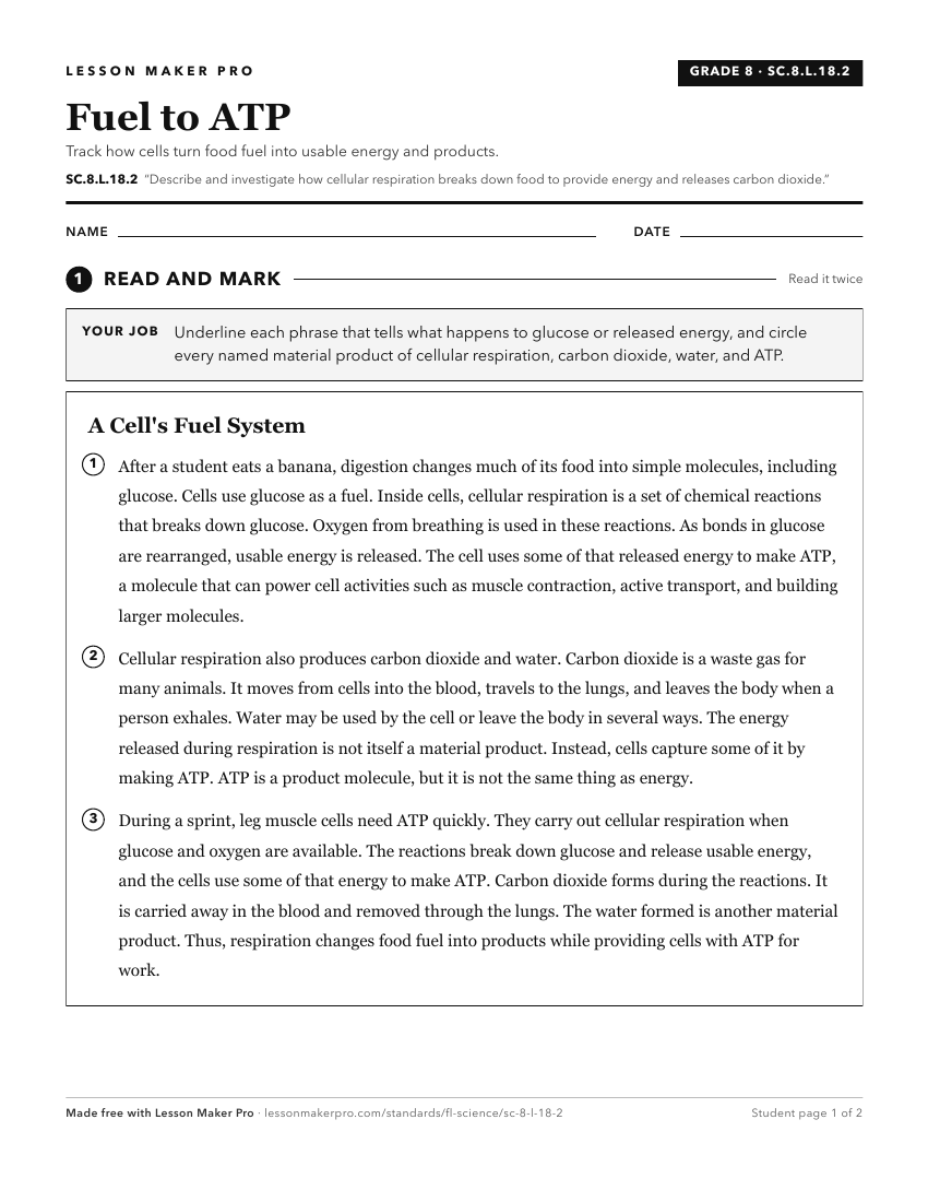 Preview of the SC.8.L.18.2 printable worksheet