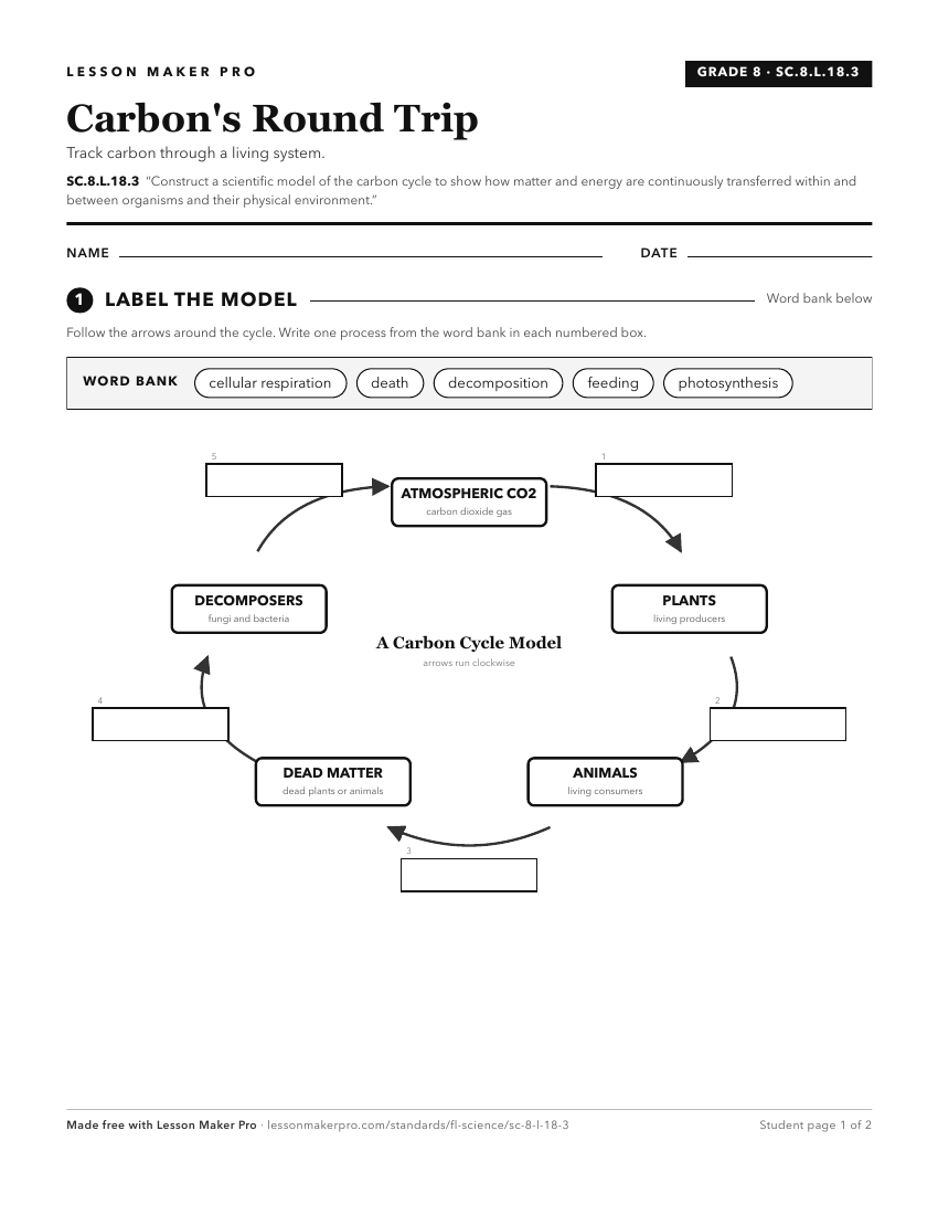 Preview of the SC.8.L.18.3 printable worksheet