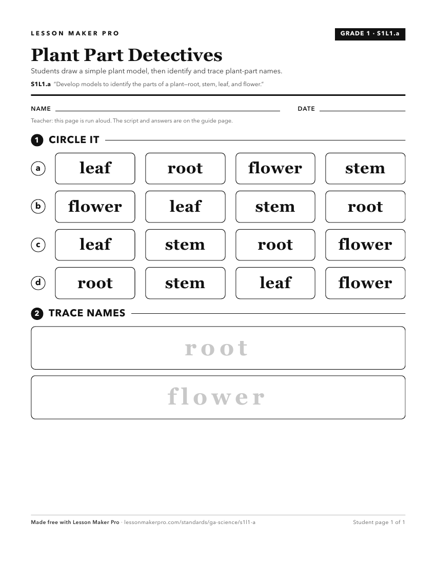 Preview of the S1L1.a printable worksheet