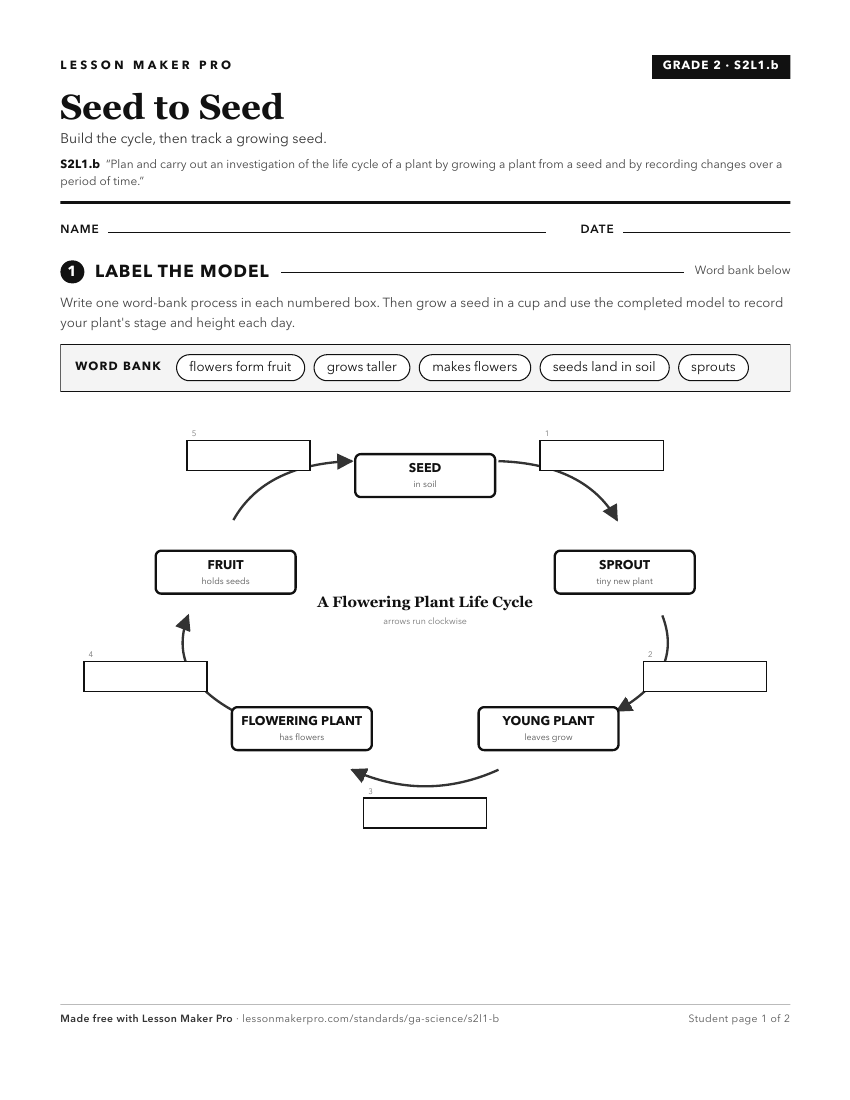 Preview of the S2L1.b printable worksheet