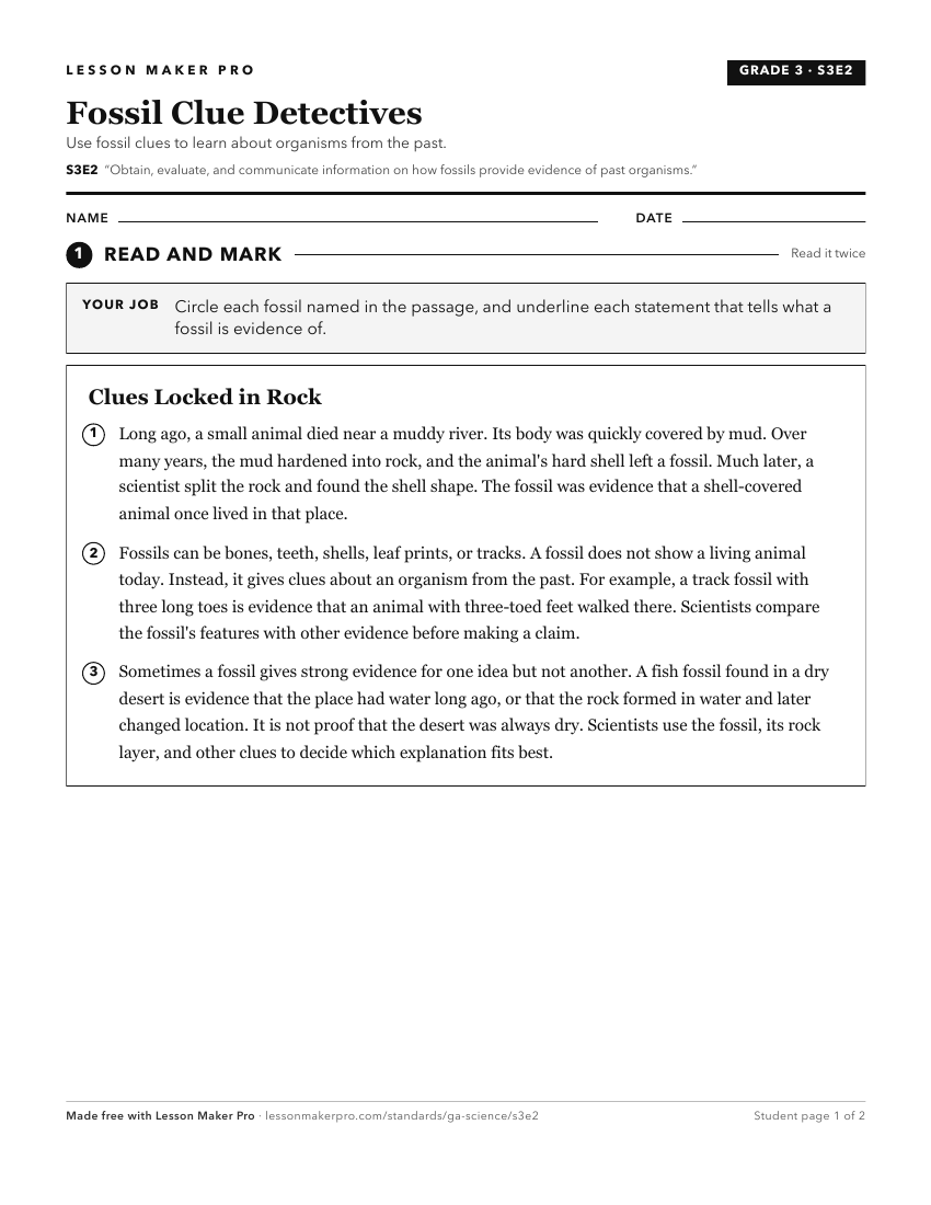 Preview of the S3E2 printable worksheet