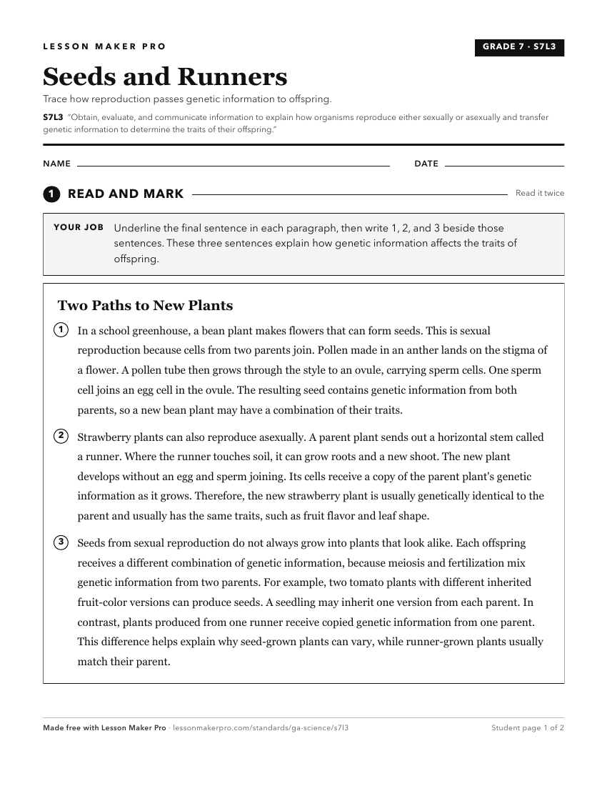 Preview of the S7L3 printable worksheet