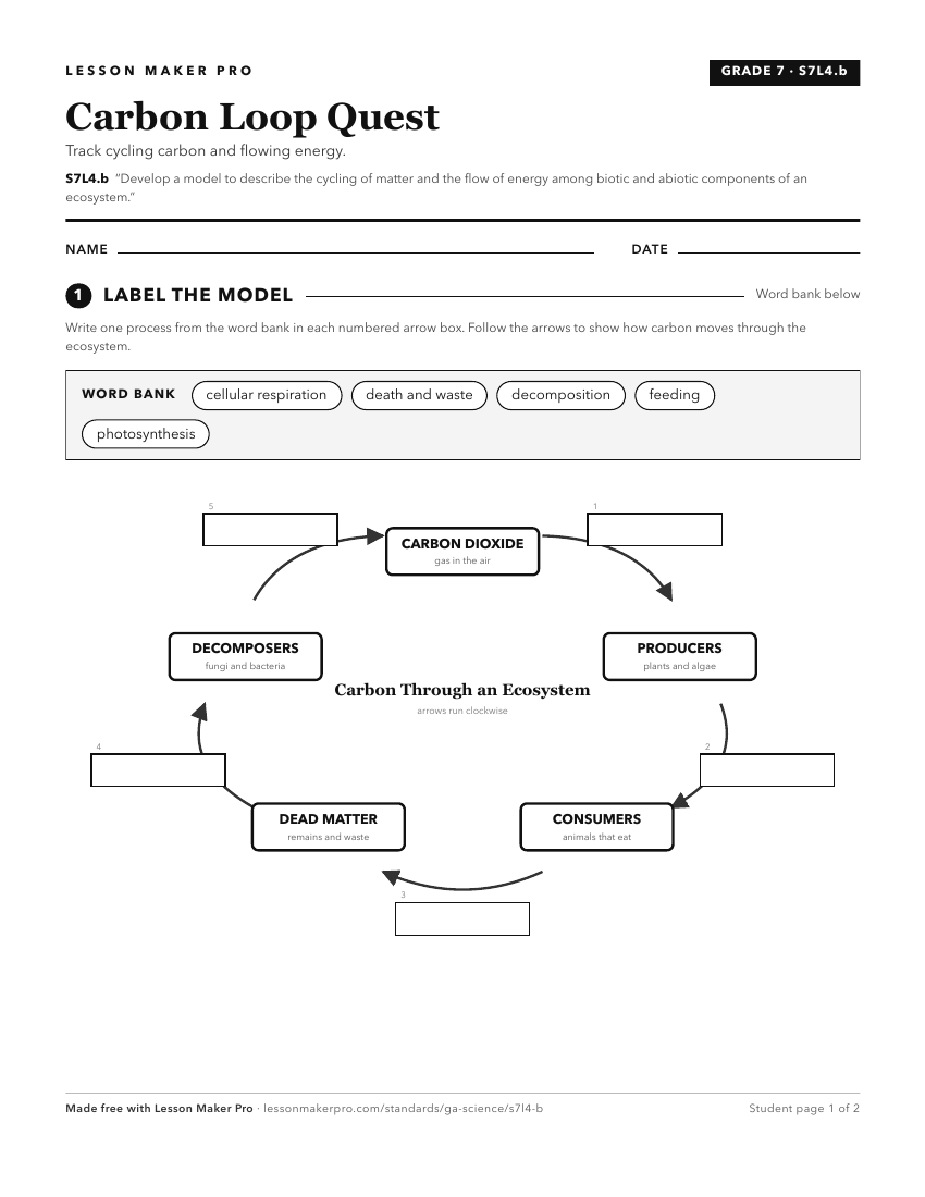 Preview of the S7L4.b printable worksheet