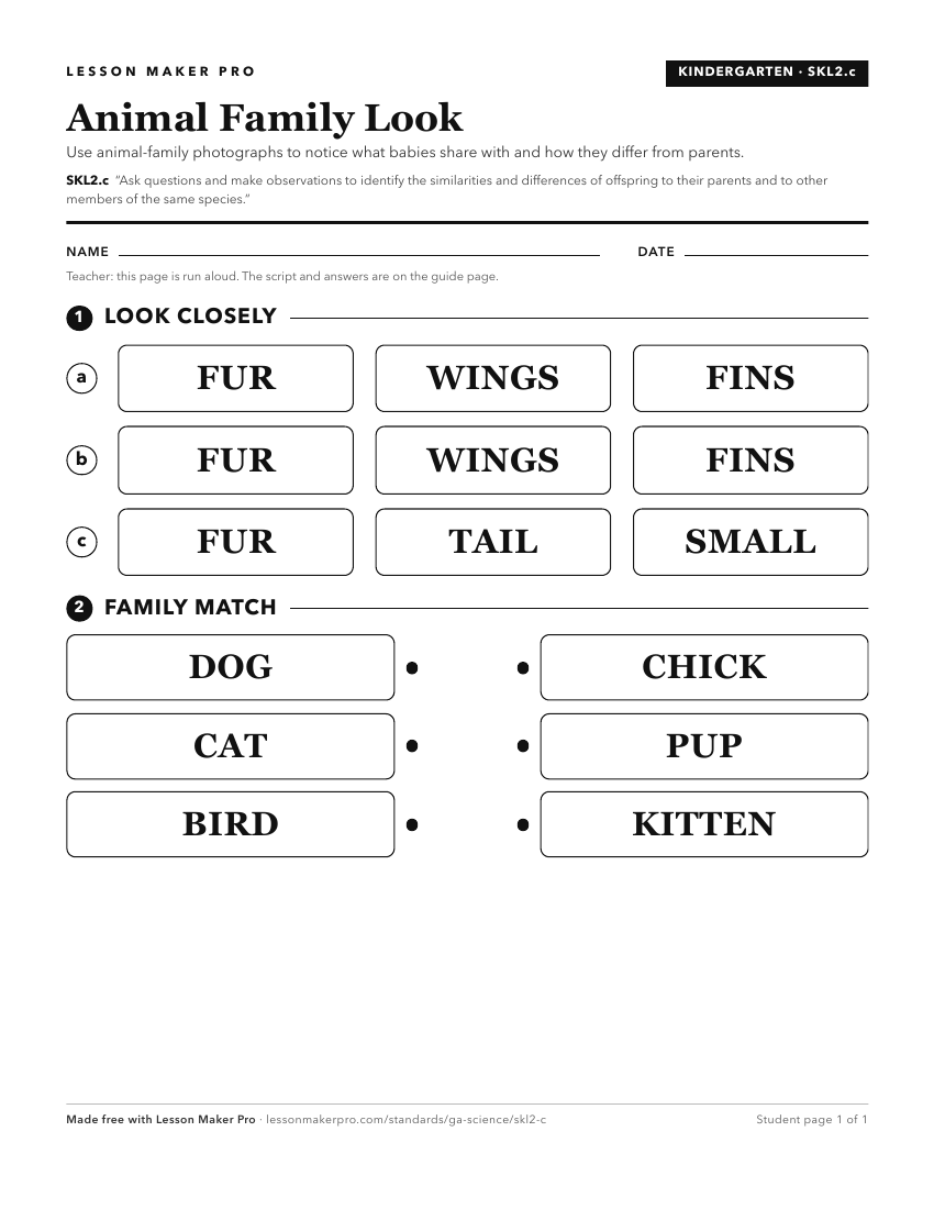 Preview of the SKL2.c printable worksheet