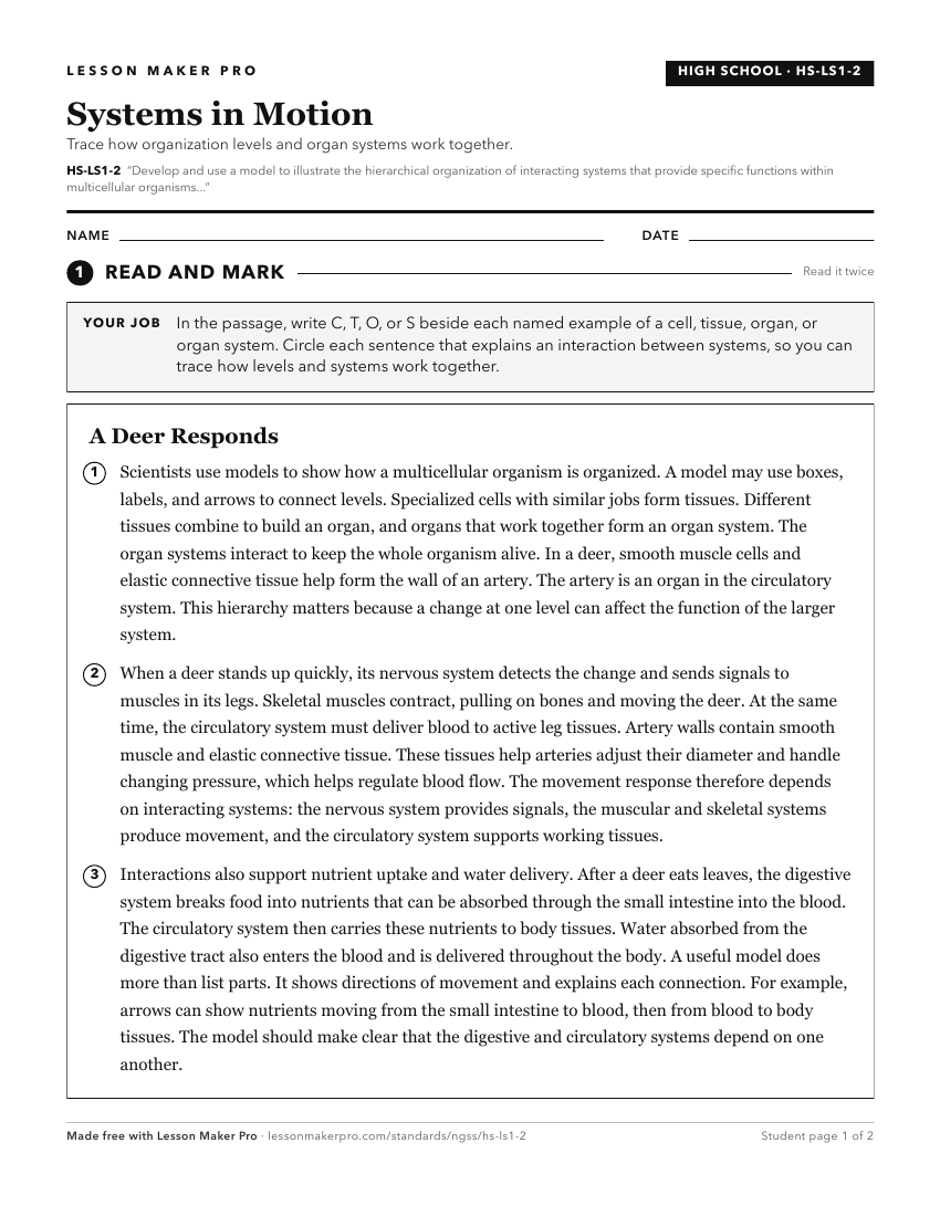 Preview of the HS-LS1-2 printable worksheet