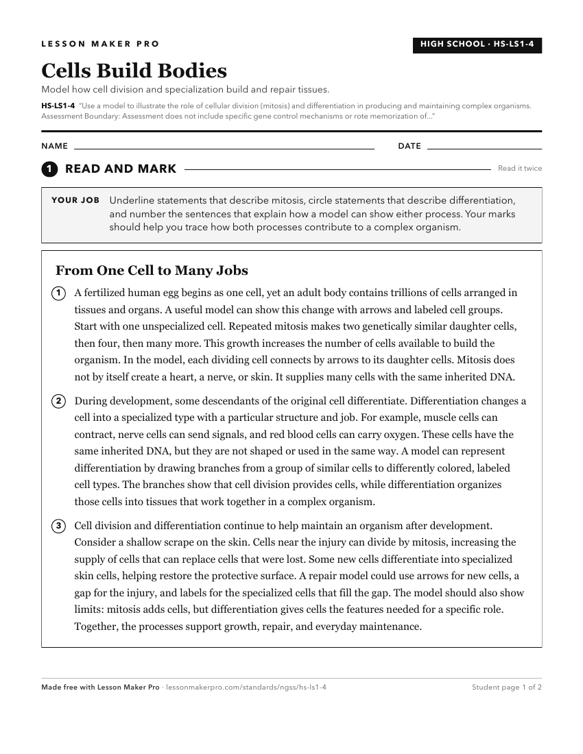 Preview of the HS-LS1-4 printable worksheet