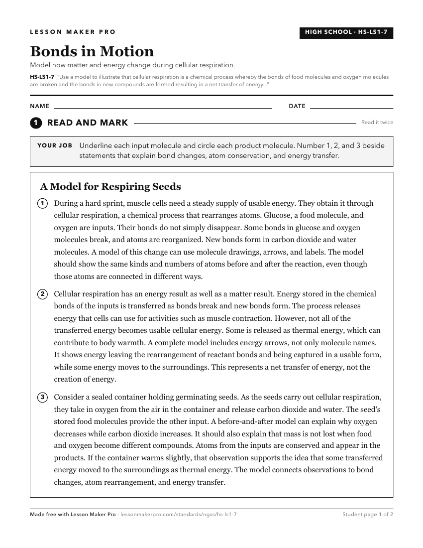 Preview of the HS-LS1-7 printable worksheet