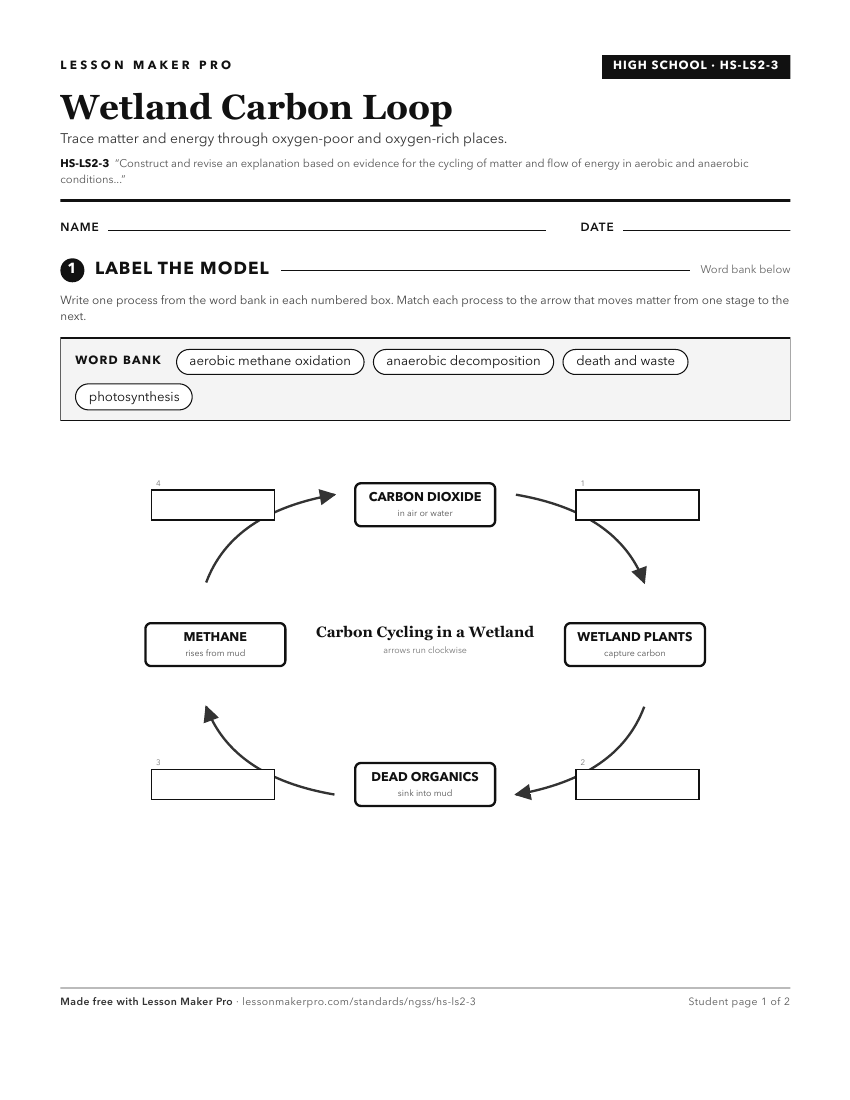 Preview of the HS-LS2-3 printable worksheet