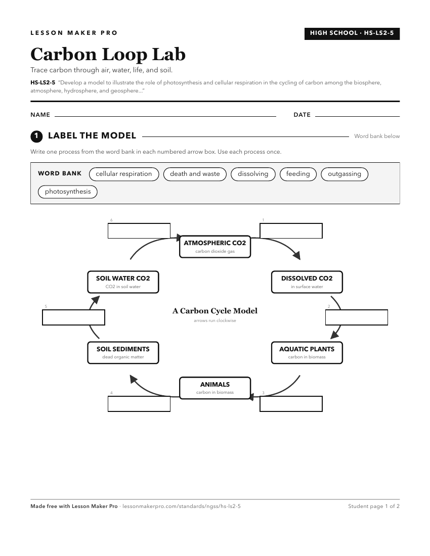 Preview of the HS-LS2-5 printable worksheet