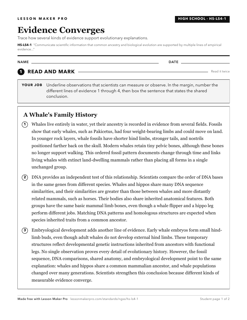 Preview of the HS-LS4-1 printable worksheet