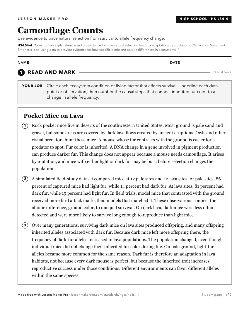 Preview of the HS-LS4-4 printable worksheet