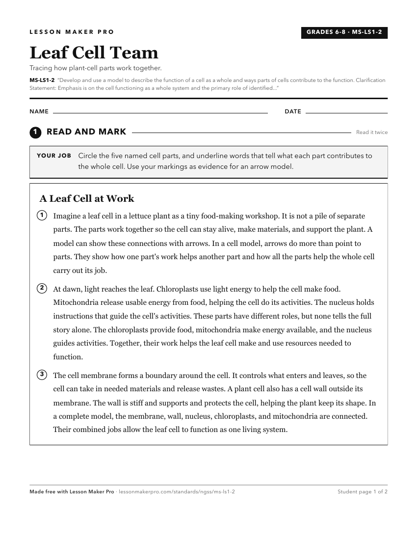 Preview of the MS-LS1-2 printable worksheet