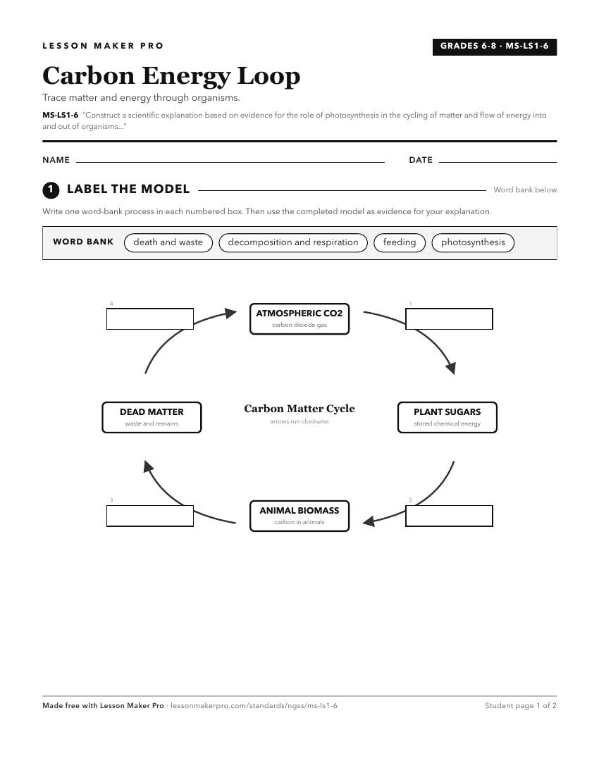 Preview of the MS-LS1-6 printable worksheet