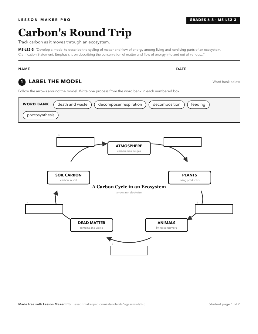 Preview of the MS-LS2-3 printable worksheet