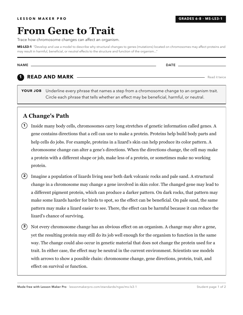 Preview of the MS-LS3-1 printable worksheet