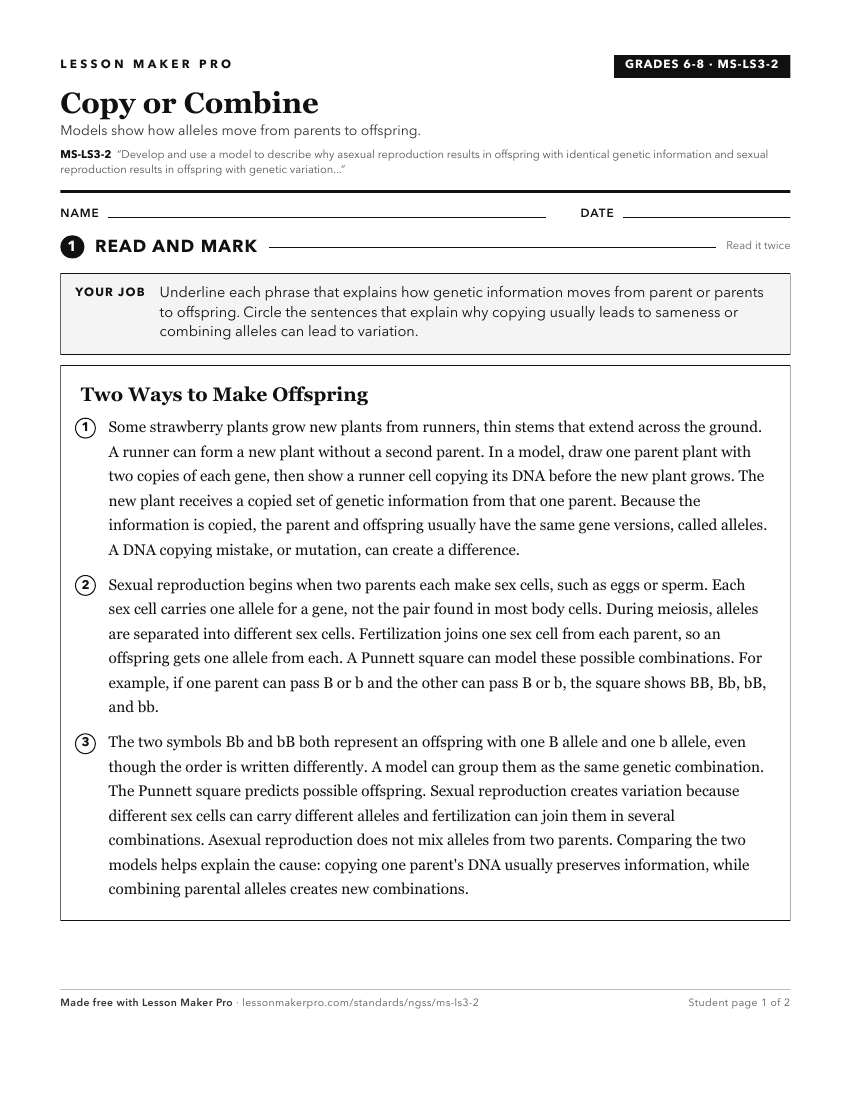 Preview of the MS-LS3-2 printable worksheet