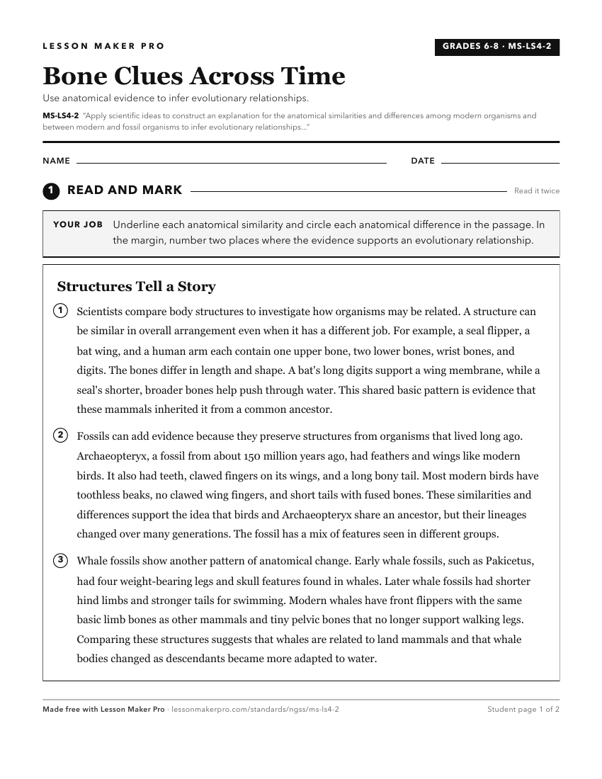 Preview of the MS-LS4-2 printable worksheet