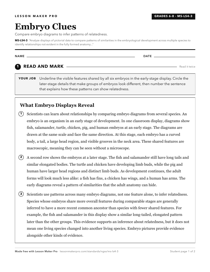 Preview of the MS-LS4-3 printable worksheet
