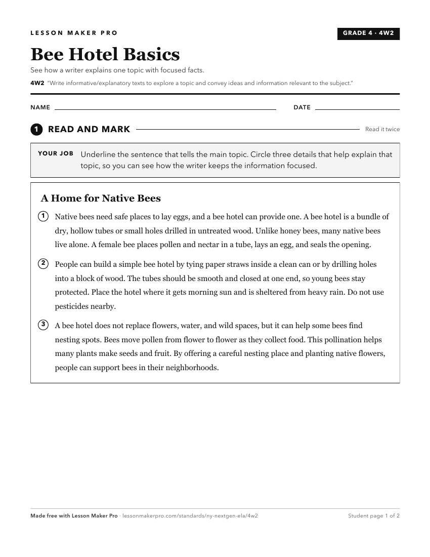 Preview of the 4W2 printable worksheet