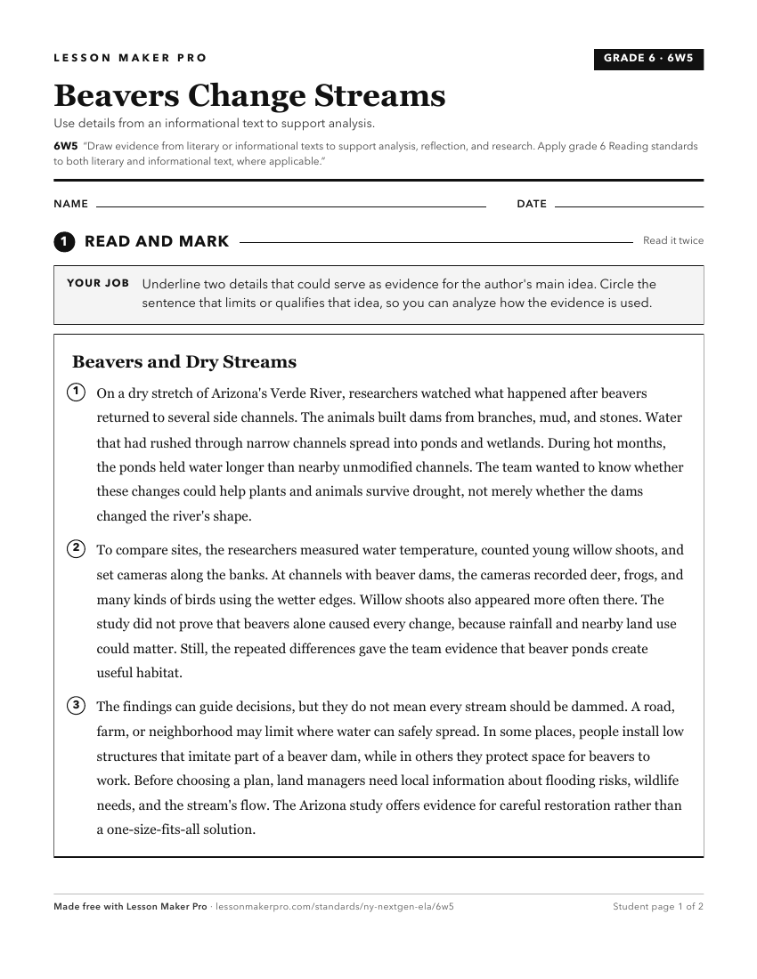 Preview of the 6W5 printable worksheet