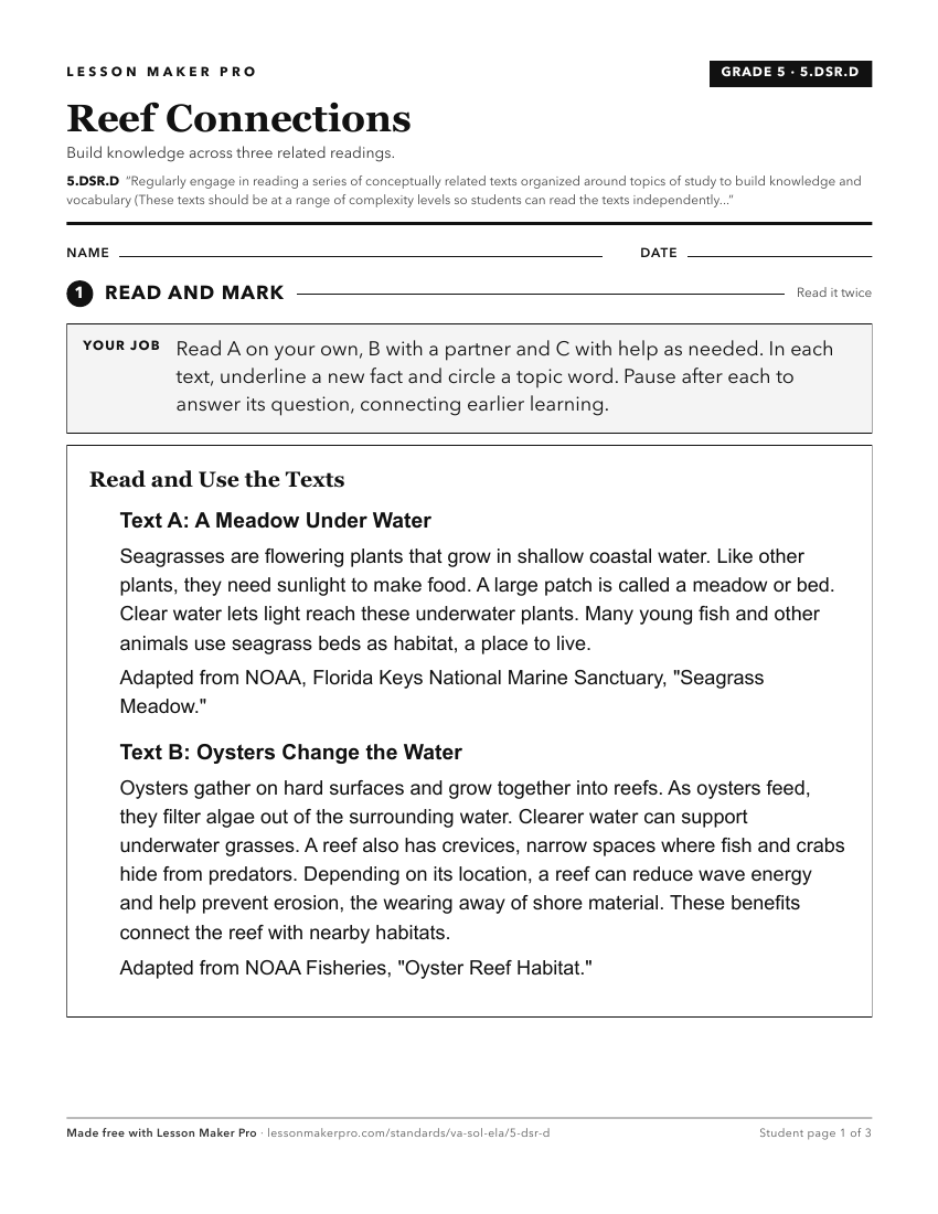 Preview of the 5.DSR.D printable worksheet