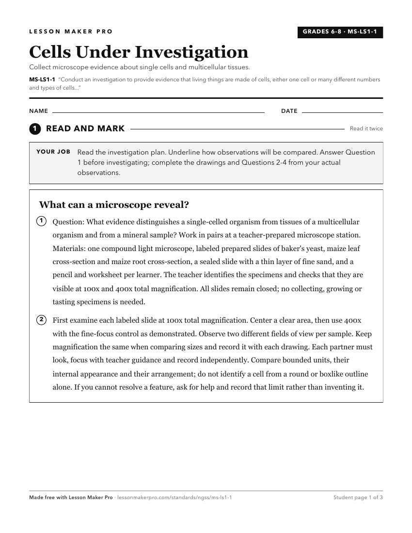 Preview of the MS-LS1-1 printable worksheet
