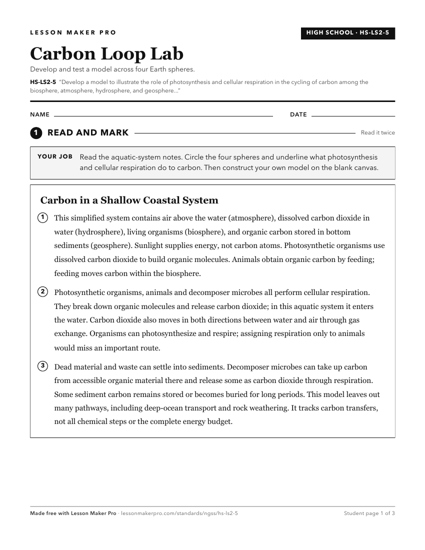 Preview of the HS-LS2-5 printable worksheet