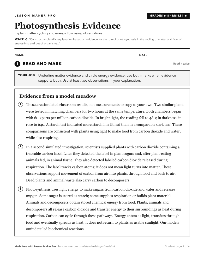 Preview of the MS-LS1-6 printable worksheet