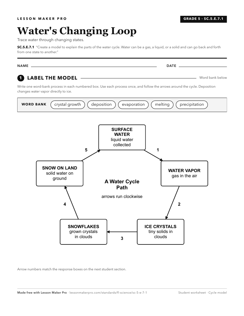 Preview of the SC.5.E.7.1 printable worksheet