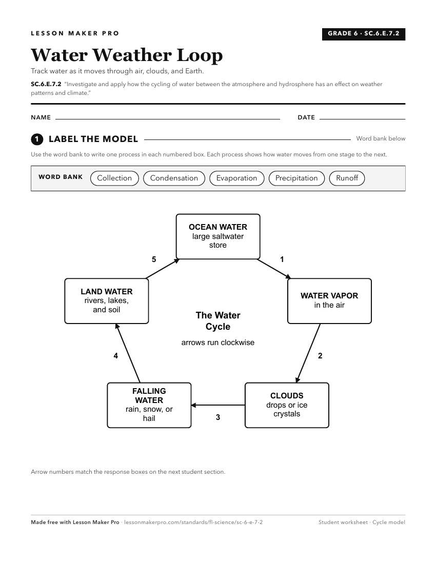 Preview of the SC.6.E.7.2 printable worksheet