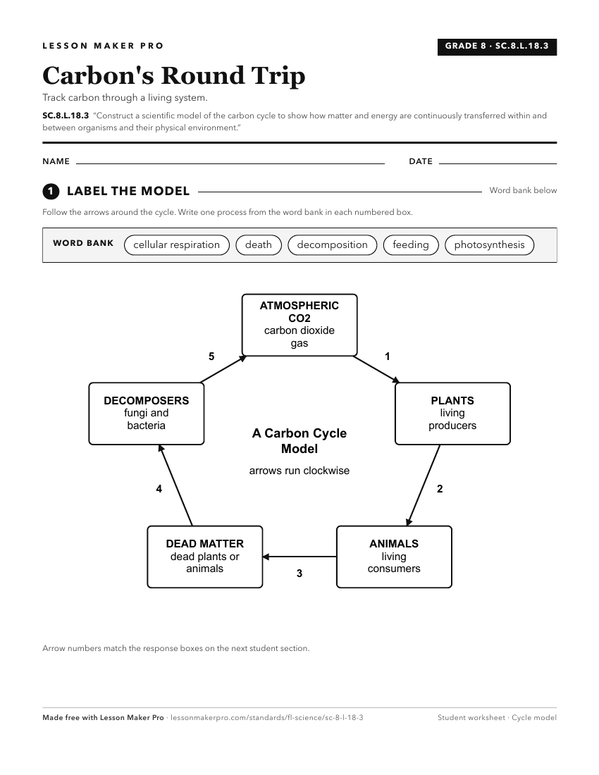 Preview of the SC.8.L.18.3 printable worksheet