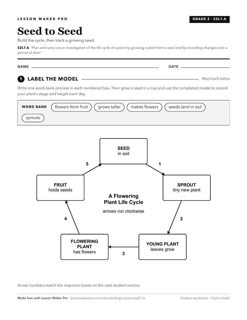 Preview of the S2L1.b printable worksheet