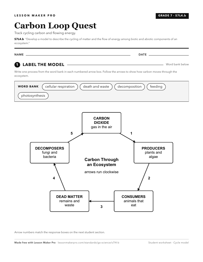 Preview of the S7L4.b printable worksheet