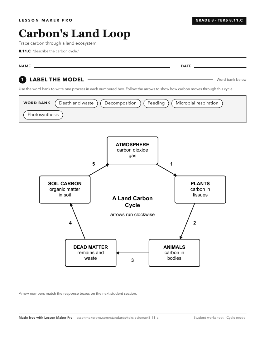 Preview of the 8.11.C printable worksheet