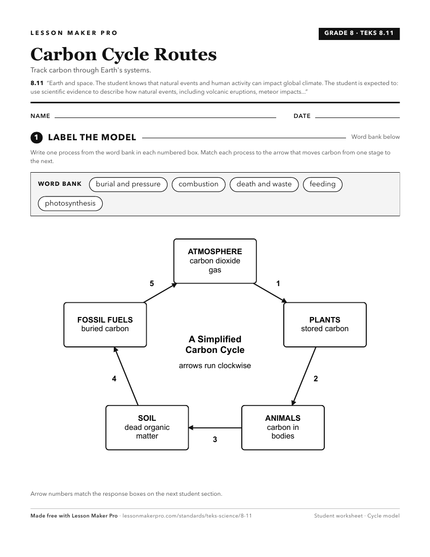 Preview of the 8.11 printable worksheet