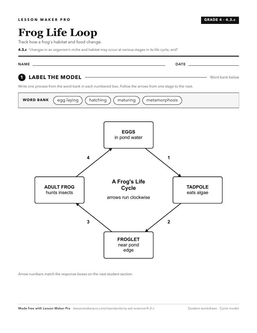 Preview of the 4.3.c printable worksheet