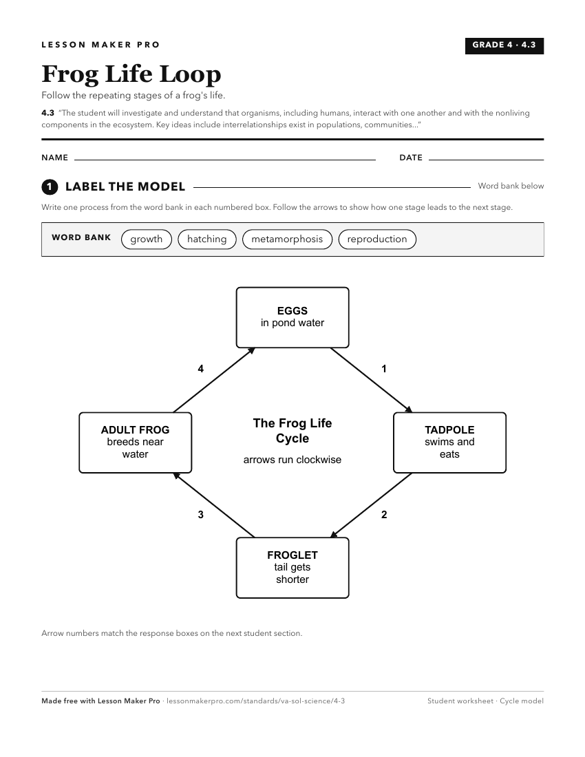 Preview of the 4.3 printable worksheet