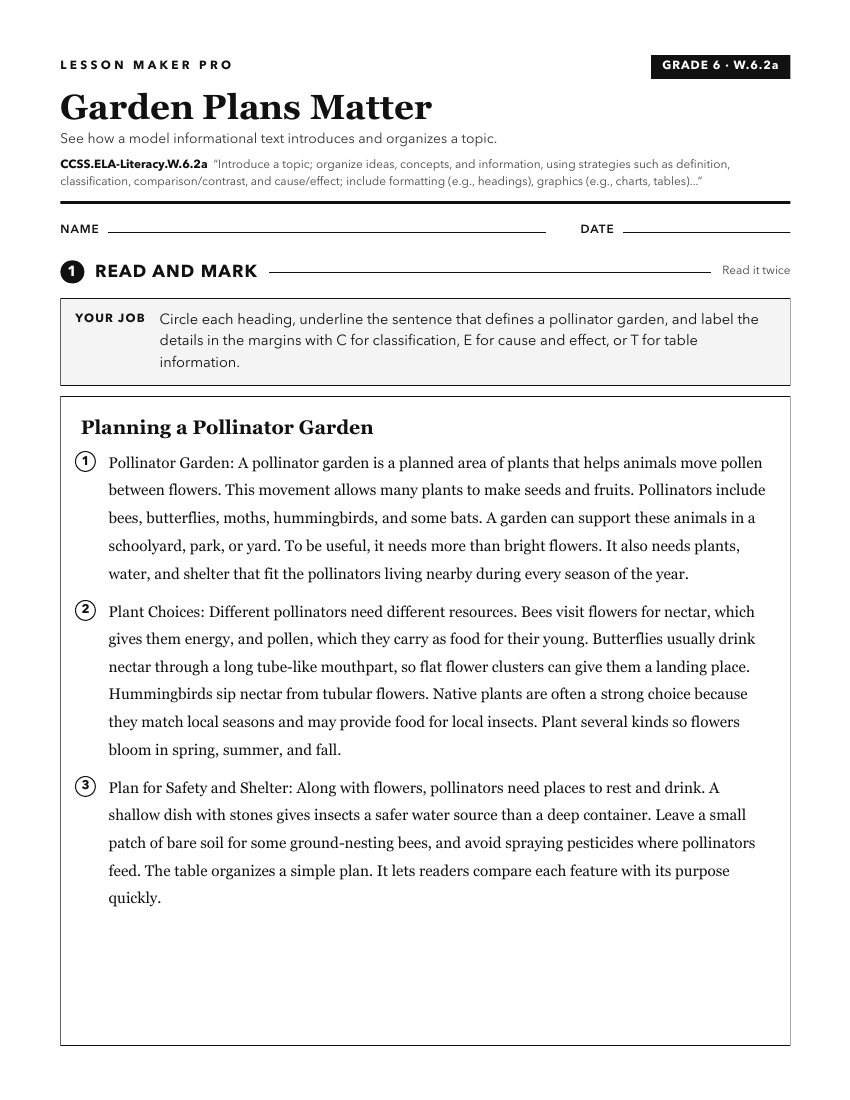 Preview of the CCSS.ELA-Literacy.W.6.2a printable worksheet