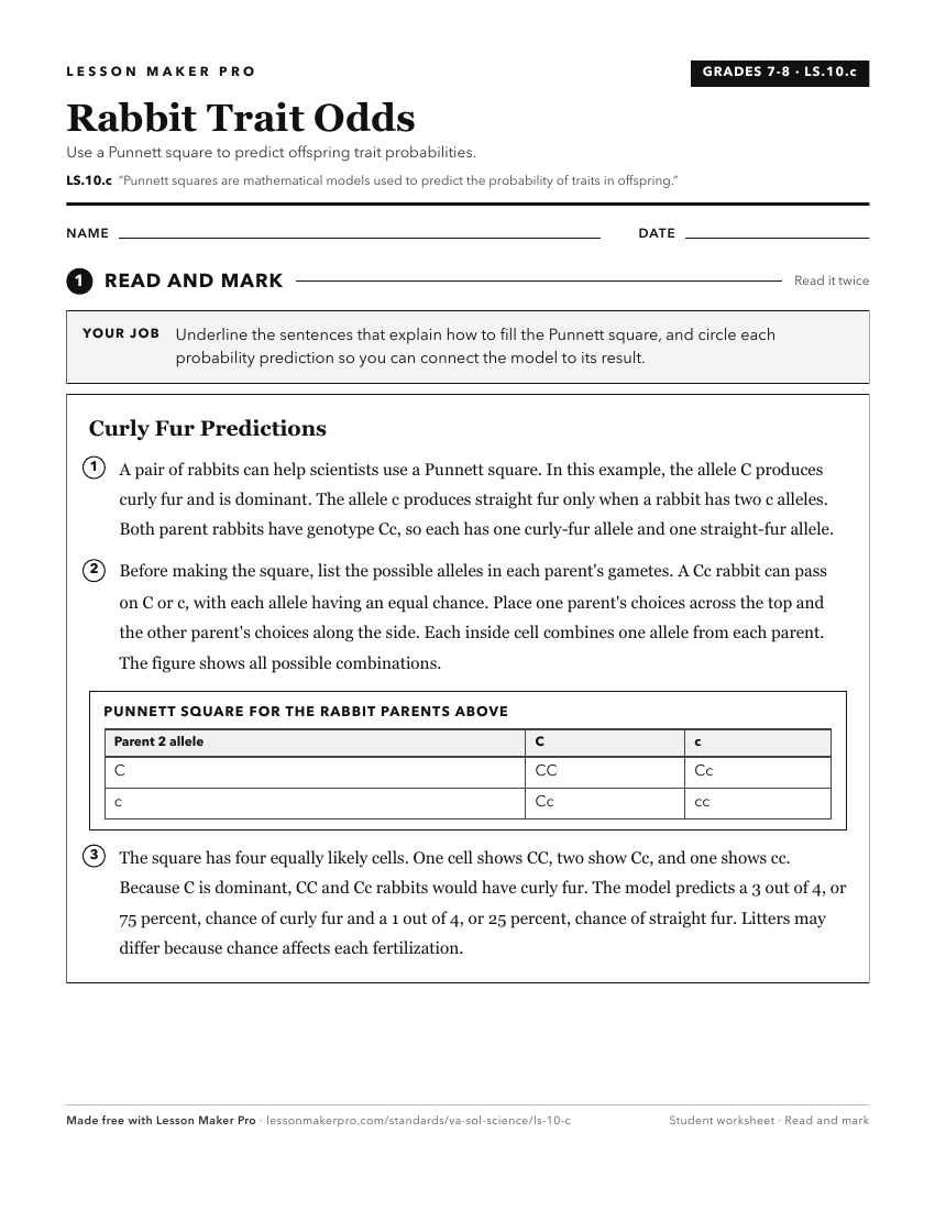Preview of the LS.10.c printable worksheet