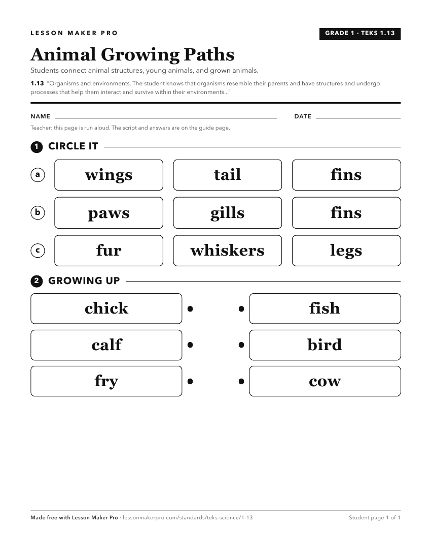 Preview of the 1.13 printable worksheet
