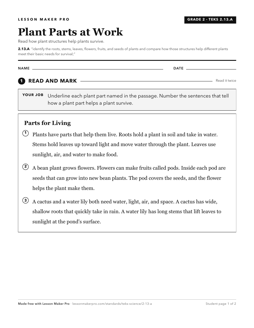 Preview of the 2.13.A printable worksheet