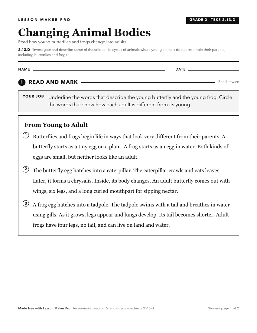Preview of the 2.13.D printable worksheet
