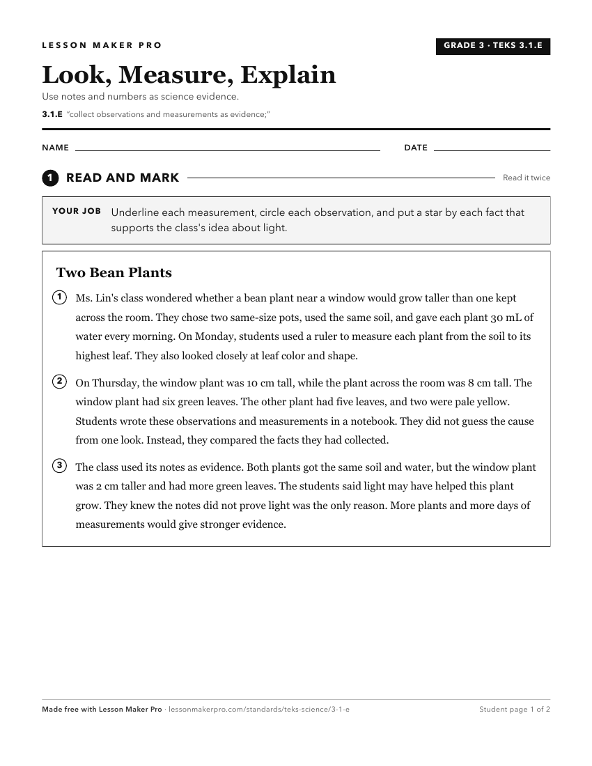 Preview of the 3.1.E printable worksheet