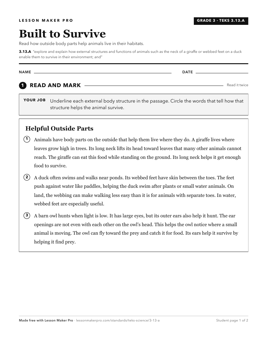 Preview of the 3.13.A printable worksheet