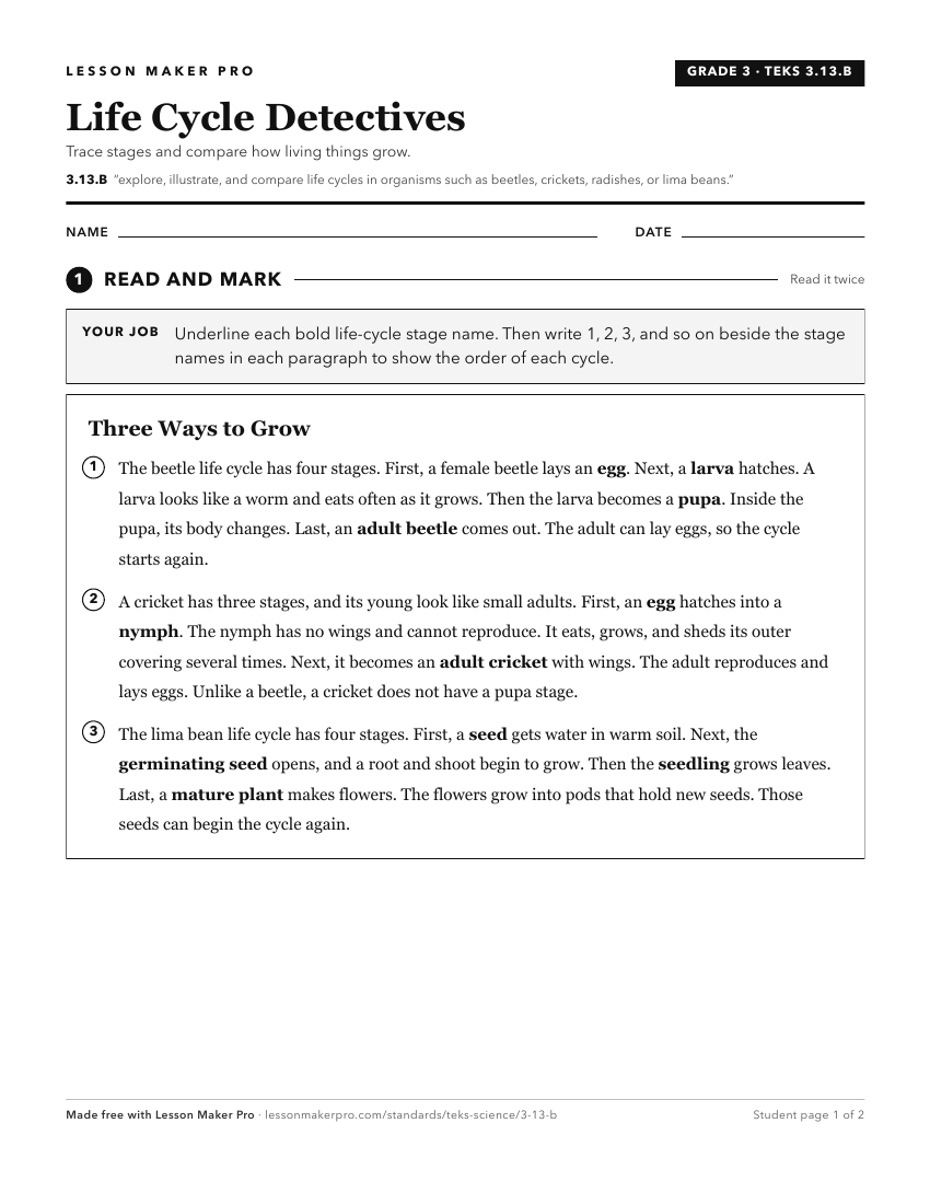 Preview of the 3.13.B printable worksheet