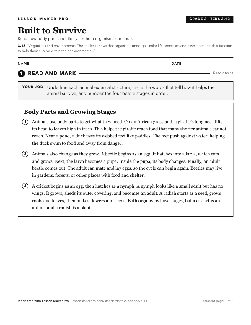Preview of the 3.13 printable worksheet