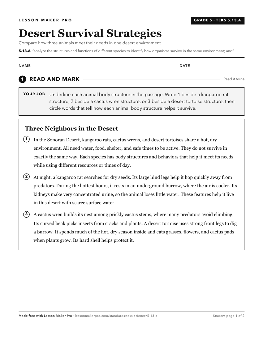 Preview of the 5.13.A printable worksheet