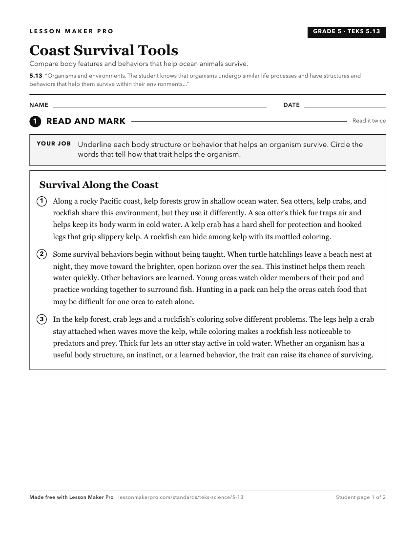 Preview of the 5.13 printable worksheet
