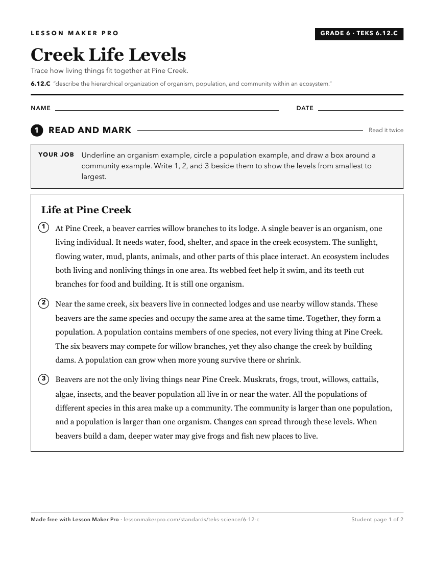 Preview of the 6.12.C printable worksheet